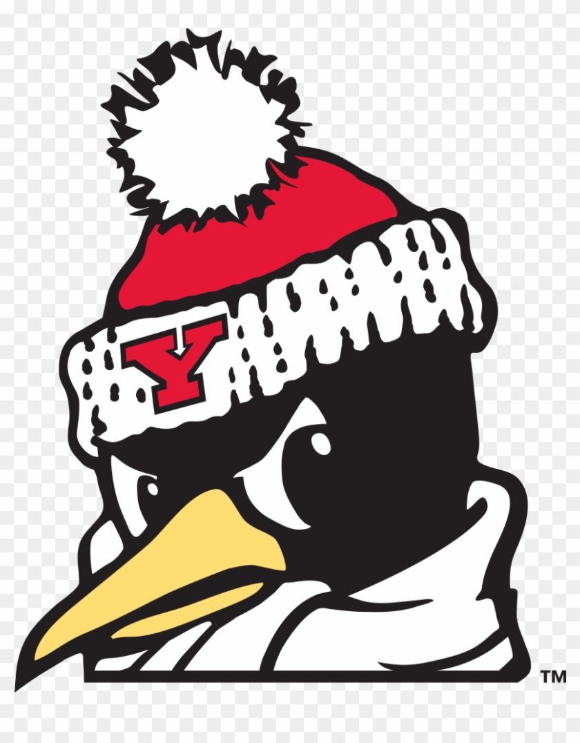 Youngstown State Penguins - Youngstown State University Penguins #532493