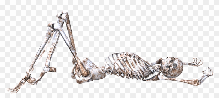 Skeleton, Pose, Skull, Bones, 3d - Skeleton, Pose, Skull, Bones, 3d #532501