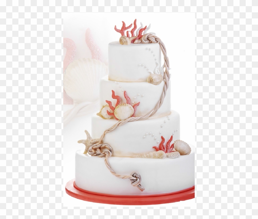 Set De Coquillages En Sucre - Cake Decorating #532522