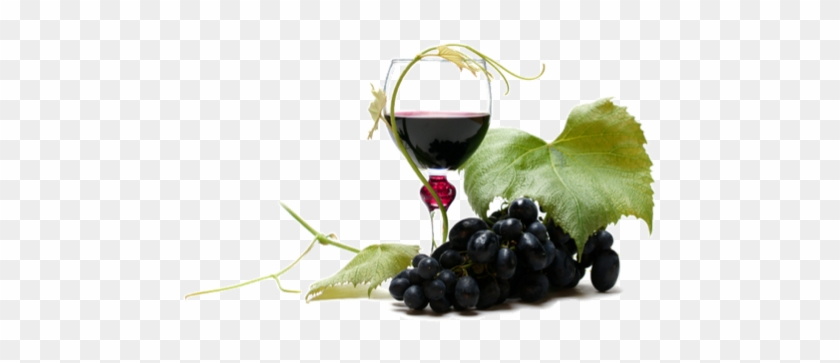 Download Wine Png Clipart Hq Png Image - Grapes #532673