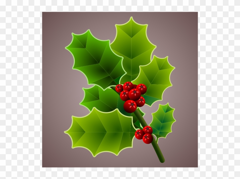 Christmas Common Holly - Christmas Common Holly #533114