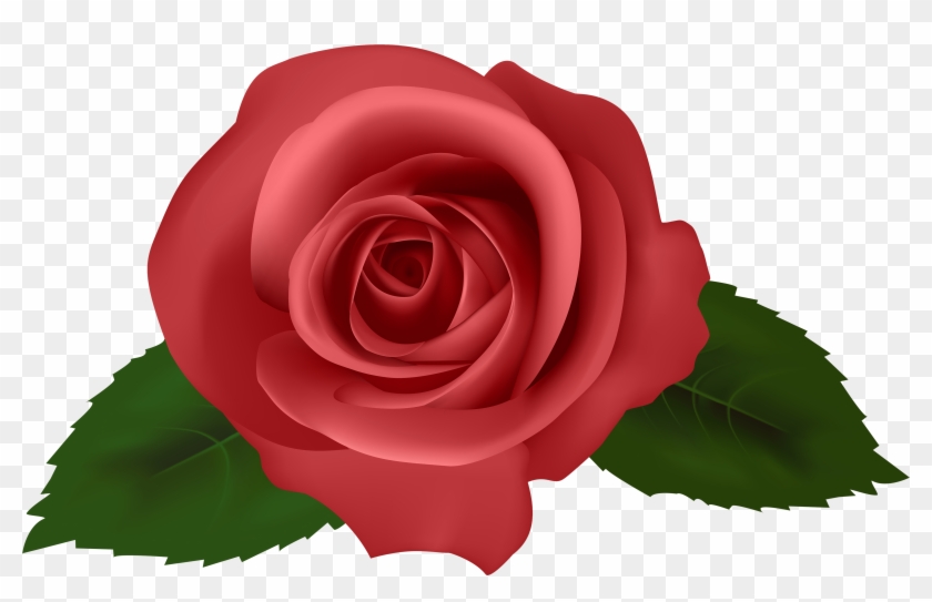 Rose Red Png Clipart - Rose Red Clipart #533171