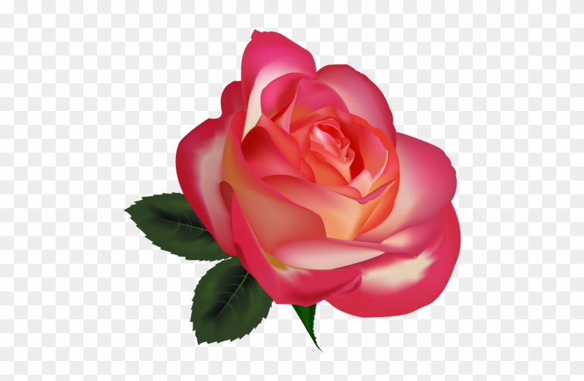 Beautiful Rose Png Clipart Image The Best Png Clipart - سكرابز الورد #533172