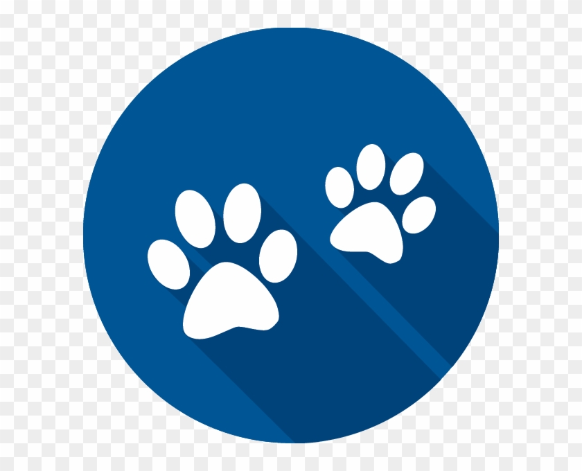 Link To Traveling With Pets Page - Jio Logo Png File #533214