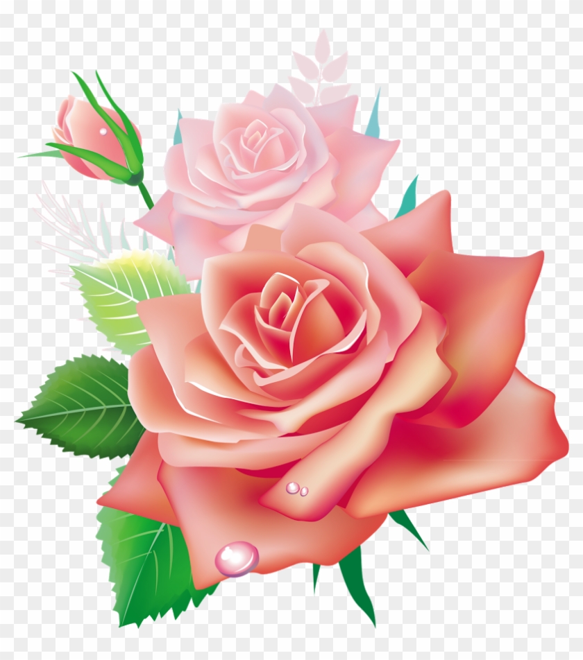 3d Roses Cliparts - Psalm37 16 #533330