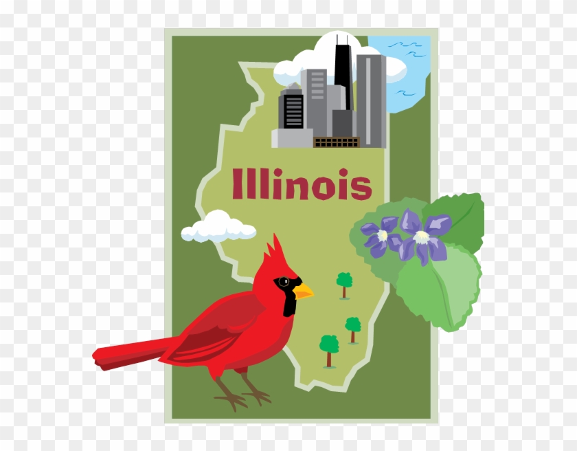 Illinois State Bird Cardinal - Illinois #533397