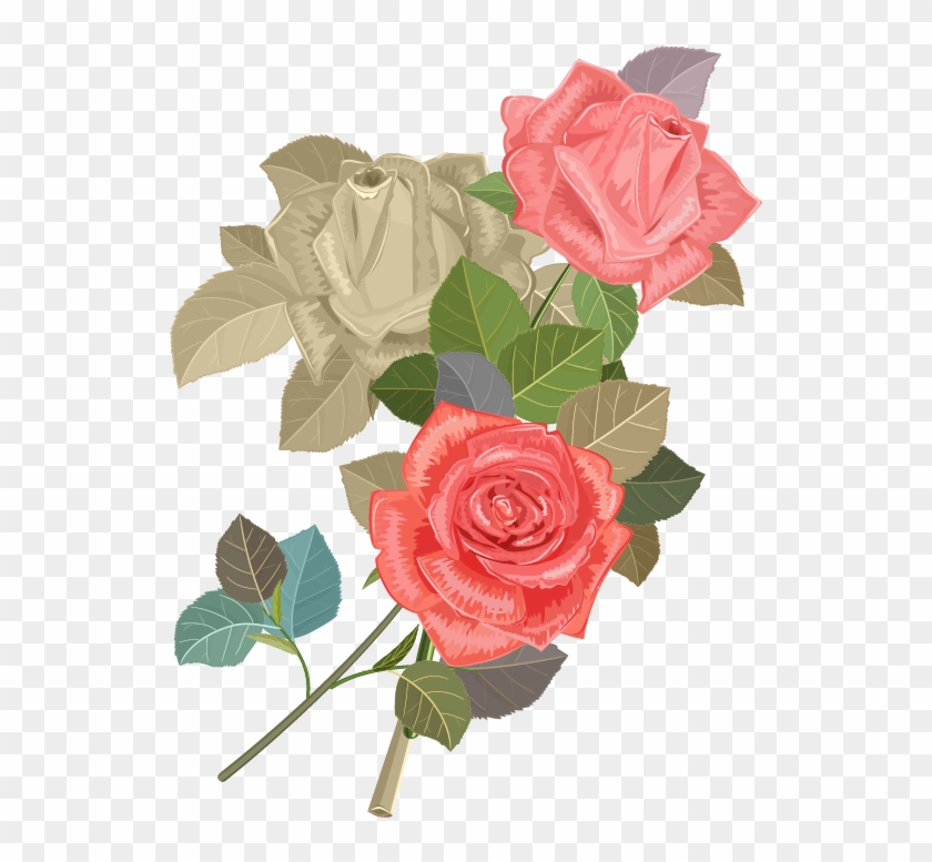 Wedding Invitation Beach Rose Flower Euclidean Vector - Rose #533463