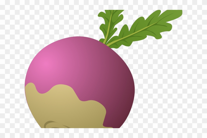 Giant Clipart Turnip - Rutabaga Clipart #533601