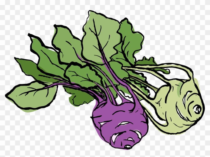 Kohl Rabi - Arugula #533667