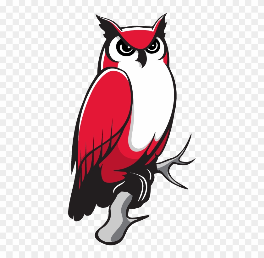 Print - Keene State College Owl #533702