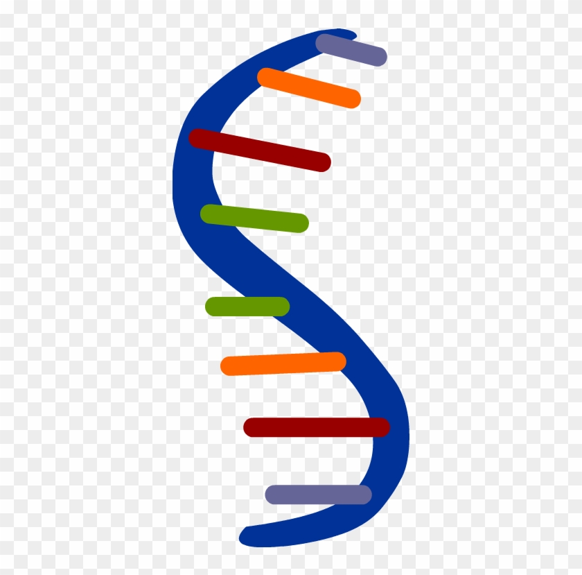 Rna - Bioinformatics #533912