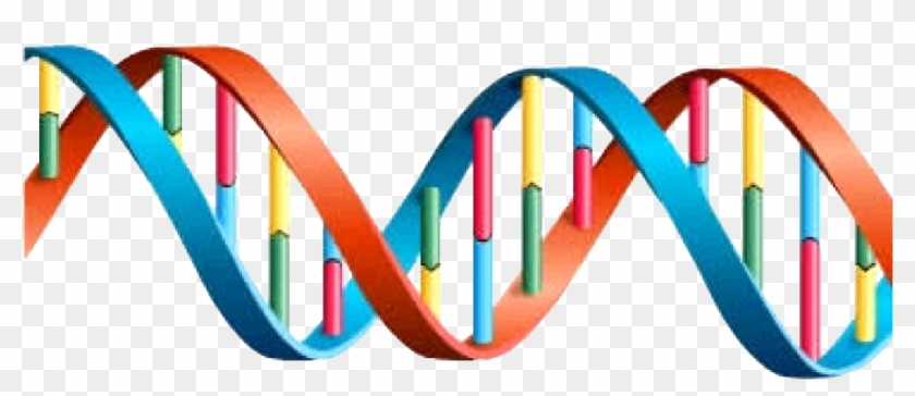 Dna Mrna - Mrna Clip Art #533929