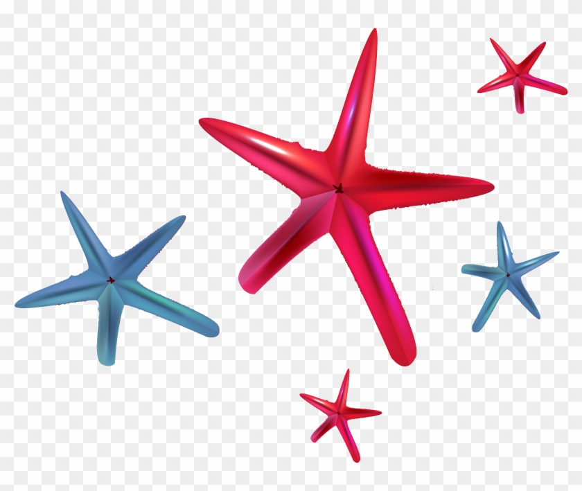 Euclidean Vector Starfish Clip Art - Euclidean Vector Starfish Clip Art #533972