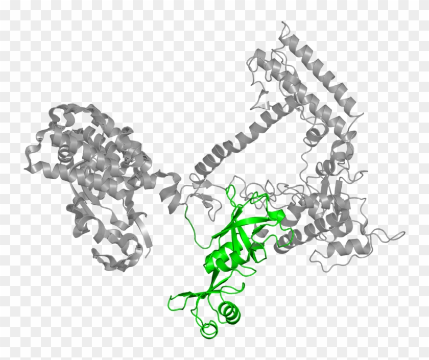 <div Class='caption-body'>1 Copy Of Pfam Domain - Chain #533952