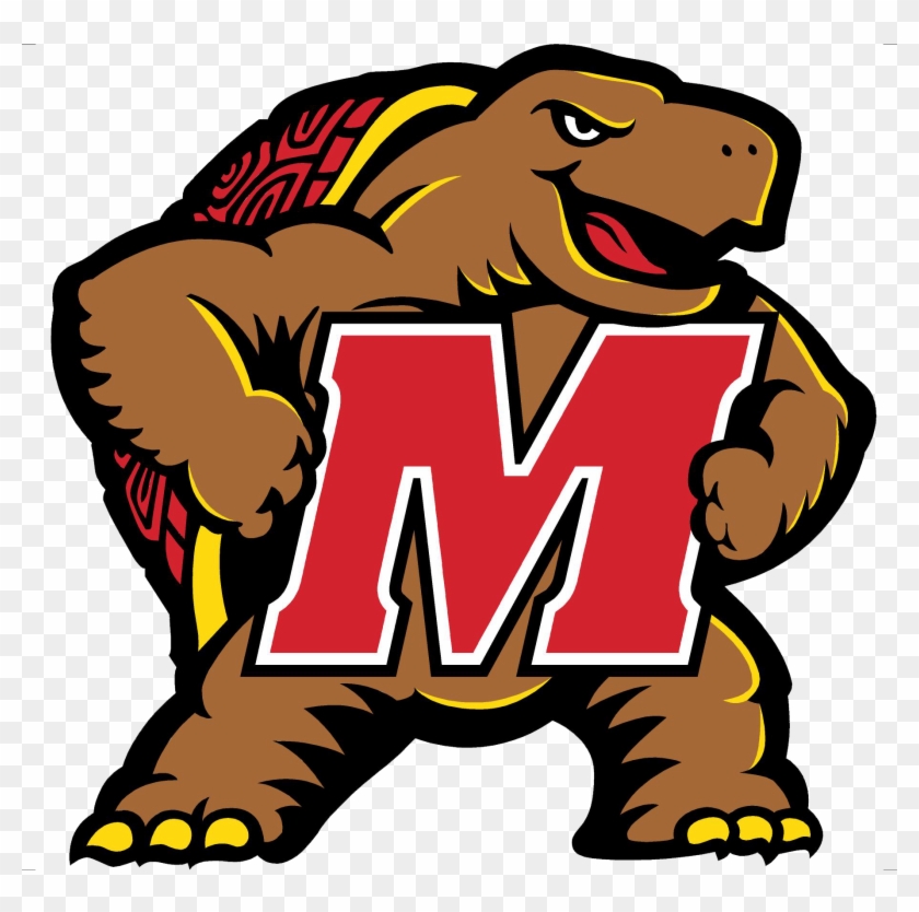 Likable Beta Sigma Phi Clip Art Medium Size - University Of Maryland Mascot #533992