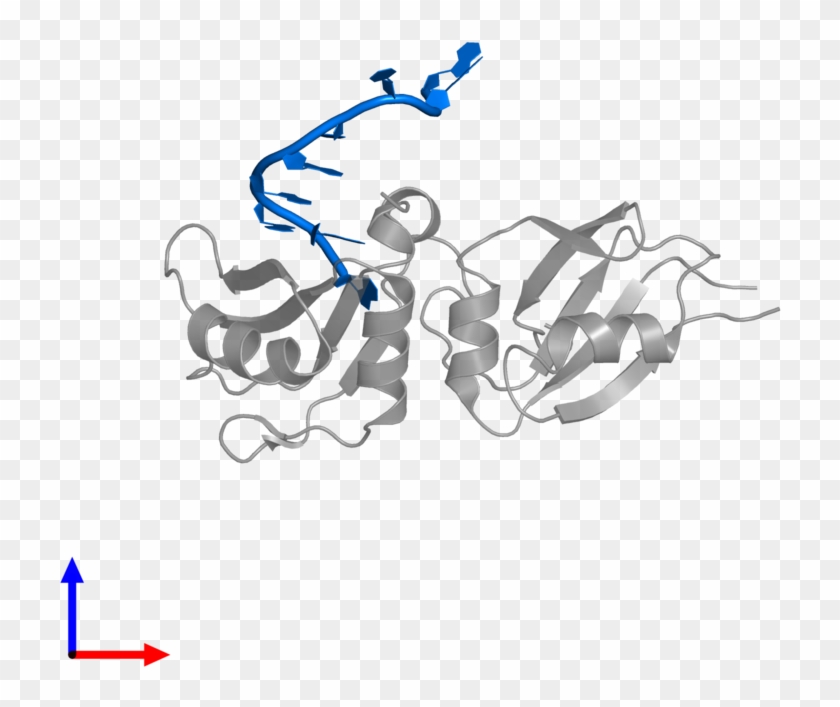 Pdb Entry 5wwe Contains 1 Copy Of Rna 3') In Assembly - Illustration #534004