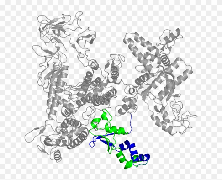 <div Class='caption-body'>2 Copies Of Pfam Domain - Illustration #534006