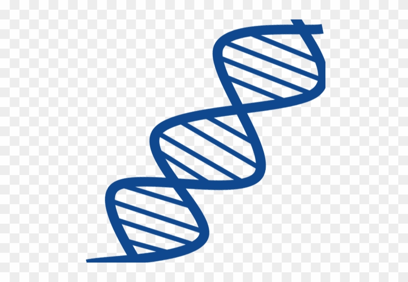 Dna Nucleic Acid Double Helix Gene Rna Nucleic Acid - Dna Nucleic Acid Double Helix Gene Rna Nucleic Acid #534021