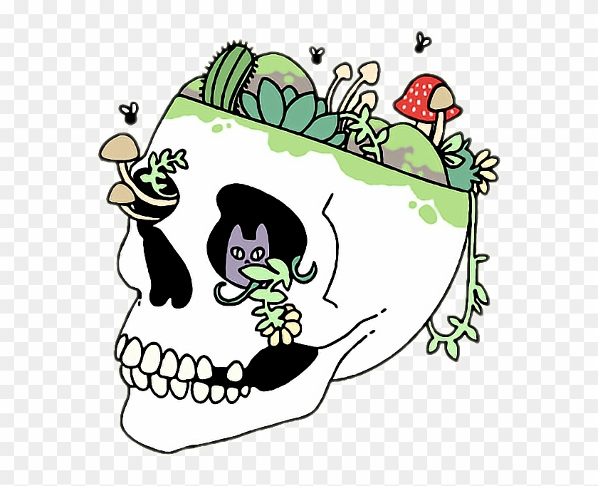 Skull Aesthetic Grunge Tumblr Plants Trippy Freetoedit - Skull Outline #534014