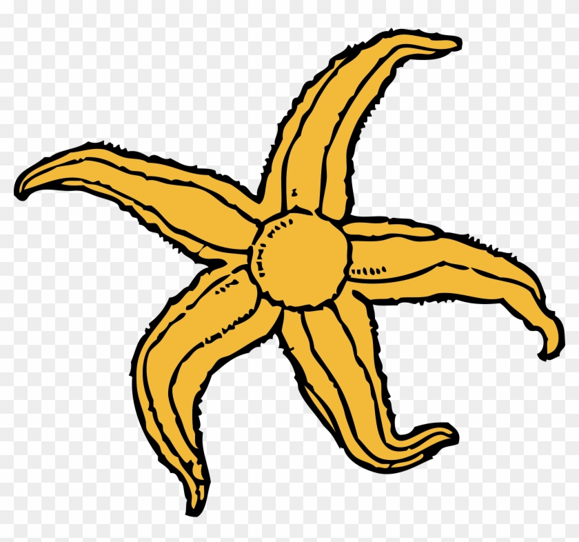 Starfish Png - Starfish Clip Art #534022