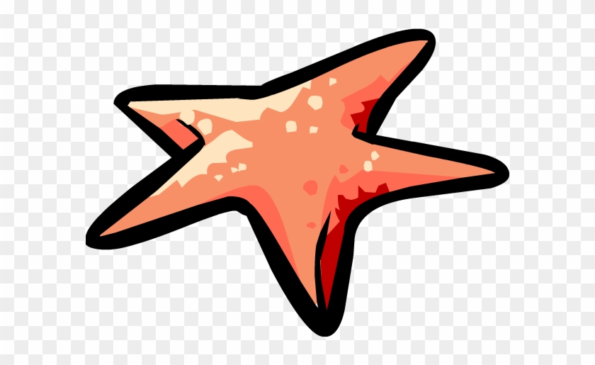 Starfish - Club Penguin Star Fish #534033