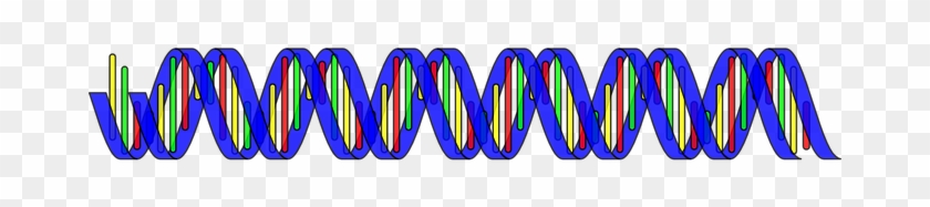 Dna Double Helix Science Rna Medical Biolo - Base Editing Dna #534088