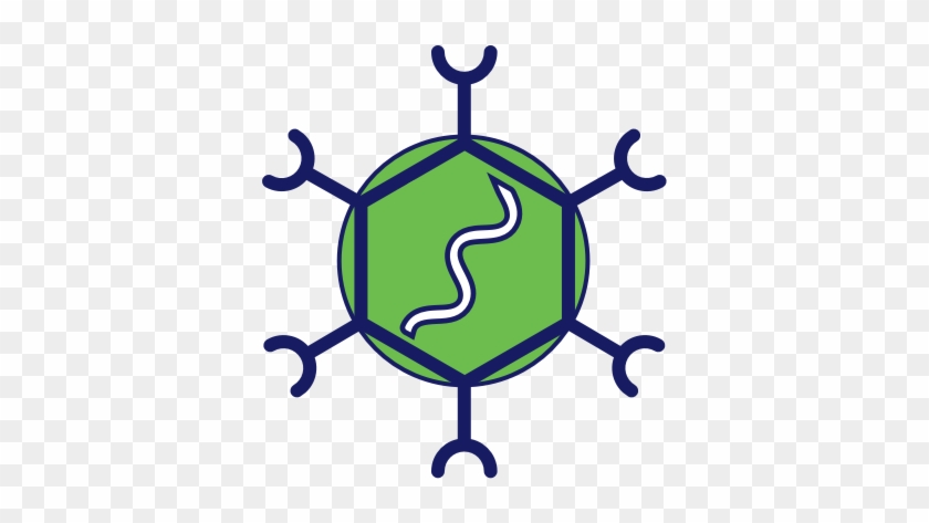 The Lentivirus Is An Enveloped Retrovirus Containing - Hub And Spoke Icon #534106