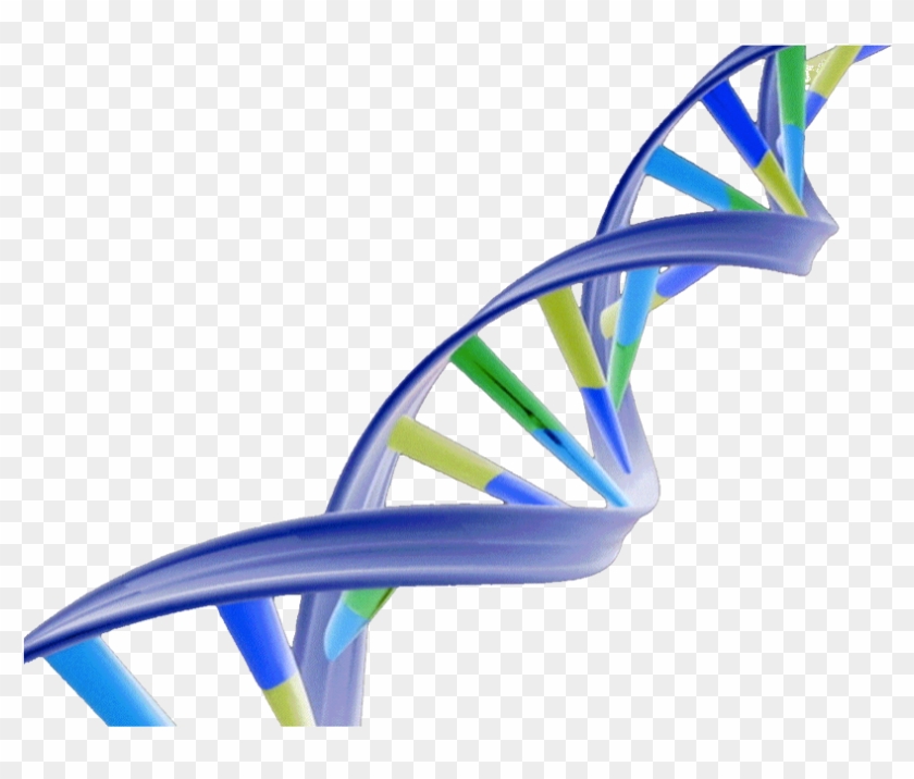 Dna Double Helix Png #534139
