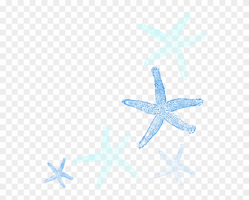 Blue Starfish Png - Clip Art #534153
