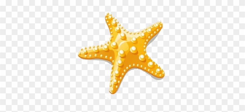 Starfish Euclidean Vector Clip Art - Starfish Clipart Vector Png #534182