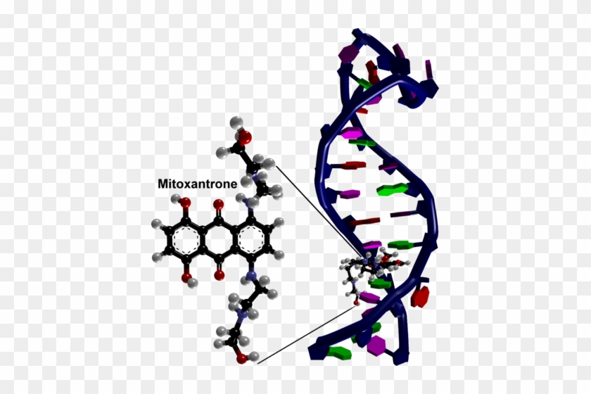 3000px Diagram Of Mitoxantrone Binding To Rna Based - Mitoxantrone #534194