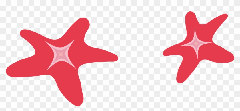 Starfish 1854*774 Transprent Png Free Download - Portable Network Graphics #534342