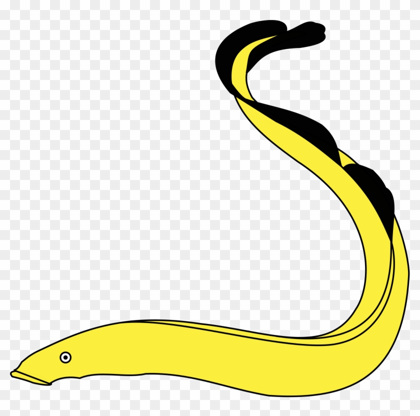 Moray Eel Clip Art - Eal Clip Art #534337