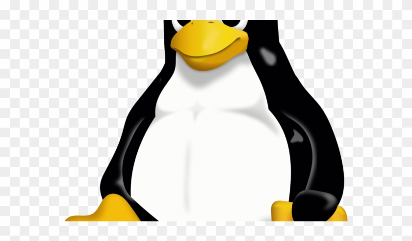 Basic Linux Commands - Linux: Questions And Answers [book] #534423