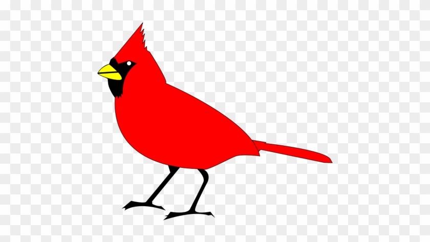 Louis Cardinals Northern Cardinal Free Content Clip - Cardinal Clipart #534729