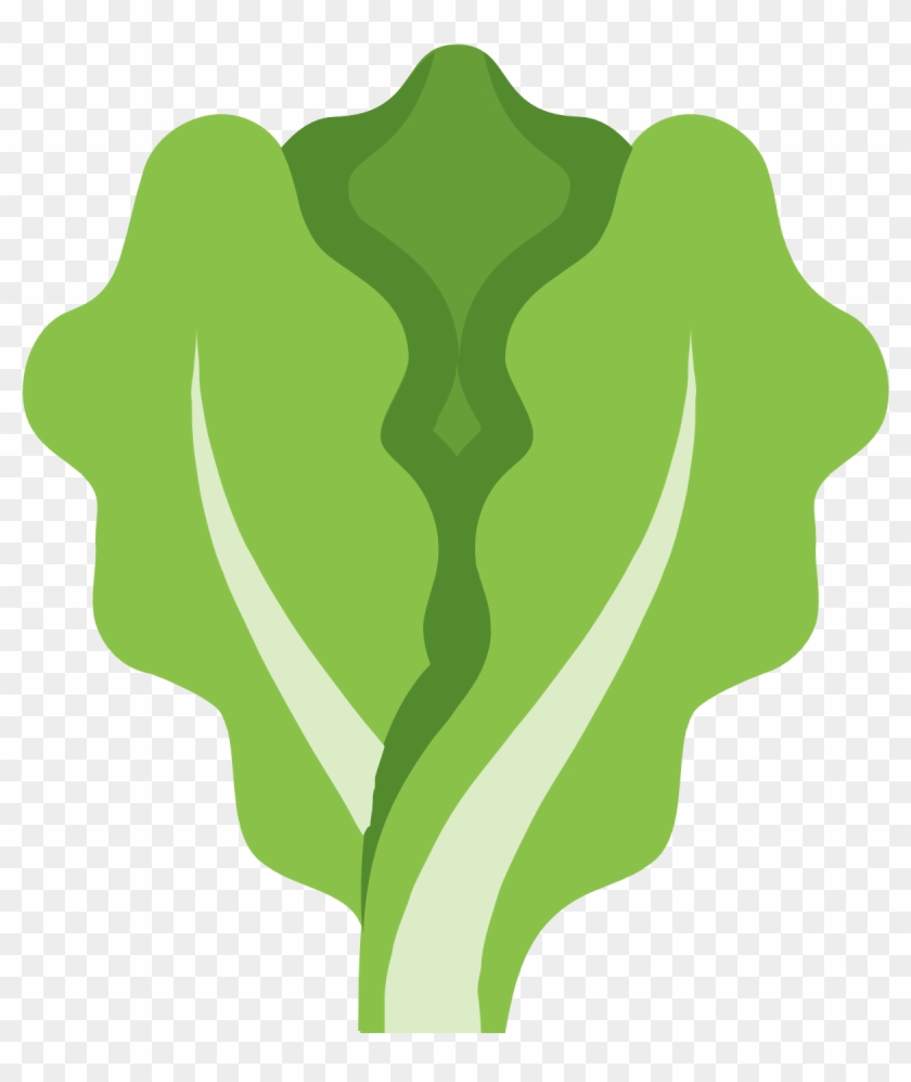 Lettuce Clipart Outline - Lettuce Icon #535005