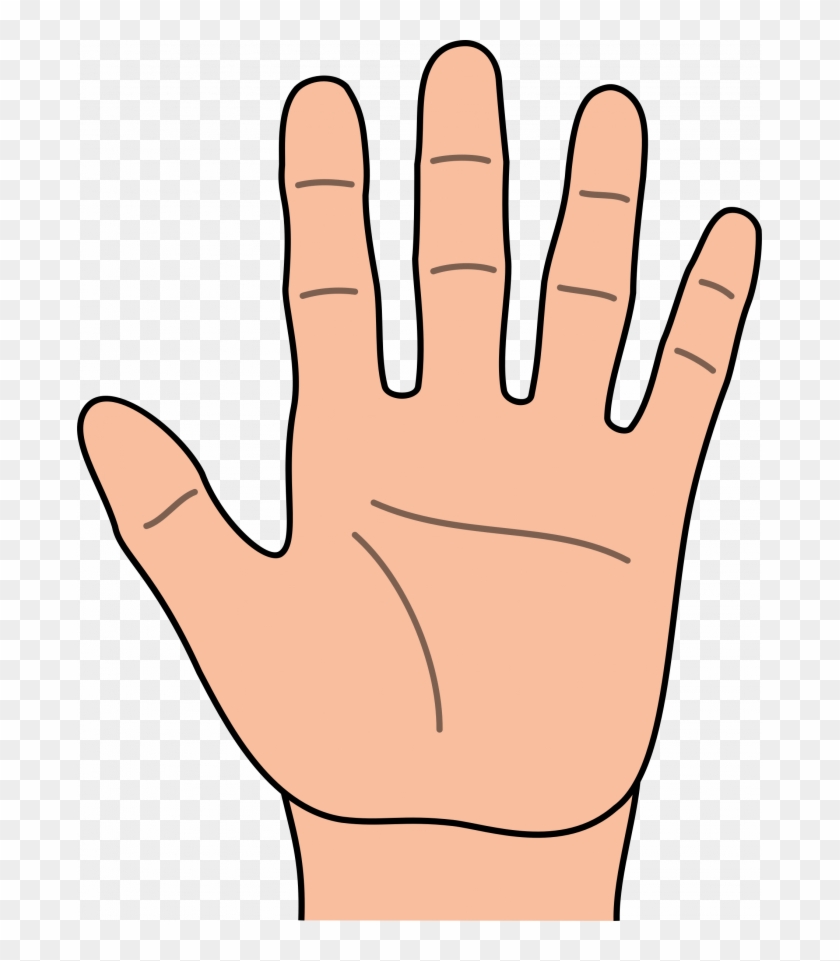 Learn What The Shape Of Your Hand Says About Your Personality - Clipart Hand #535030