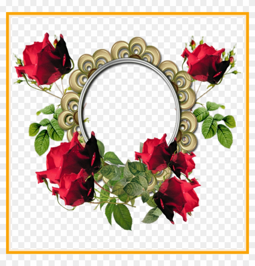 Shocking Red Flower Frame Photos Hq Png Image For Rose - Shocking Red Flower Frame Photos Hq Png Image For Rose #535228