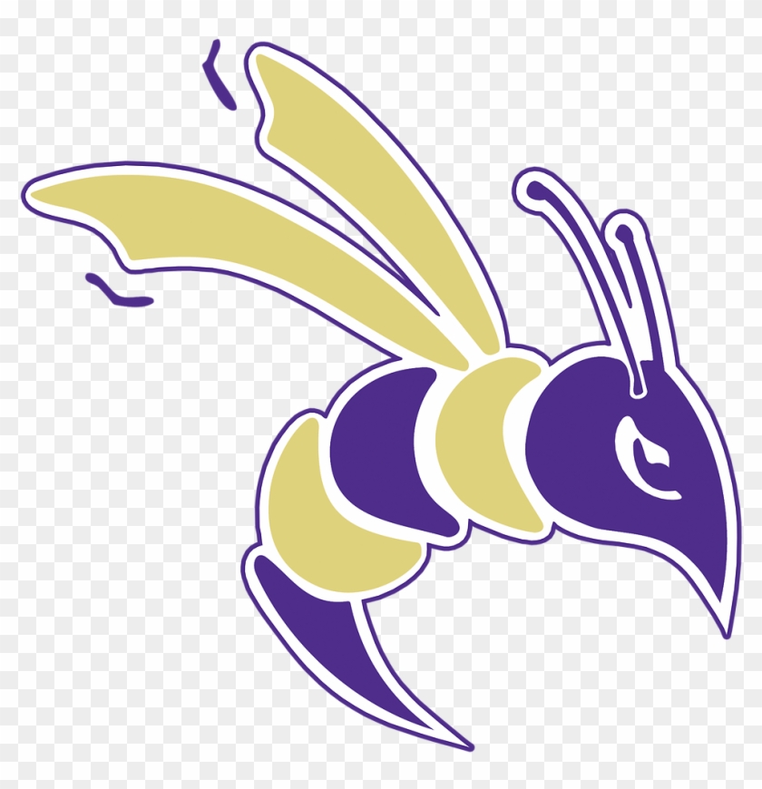 Yellow Jacket - Defiance College #535704