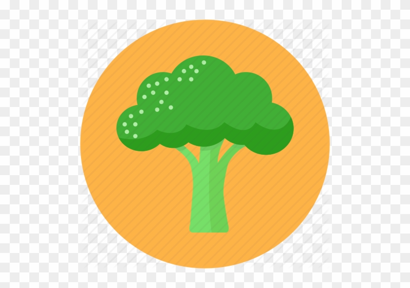 Food, Radish, Root, Vegetable Icon - Broccoli Icon #535786