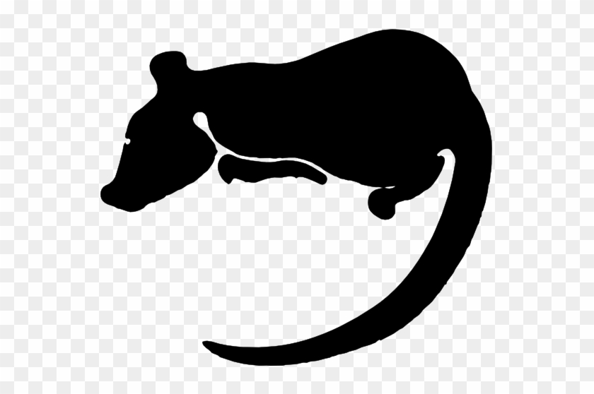 Rat - Clipart - Black - And - White - Rat Clip Art #535882