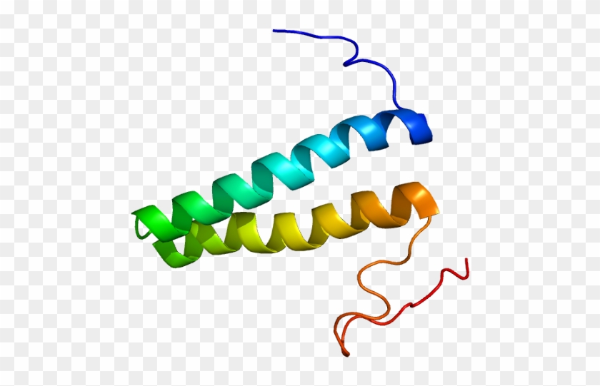 Protein Data Bank #536687