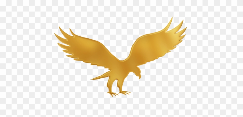 Gold Eagle Shield Logo Png 3231 Free Transparent Png - Gold Eagle Png #536919