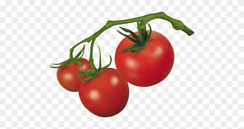 Pin Tomato Clip Art On Pinterest - Tomato On Vine Clipart #537043