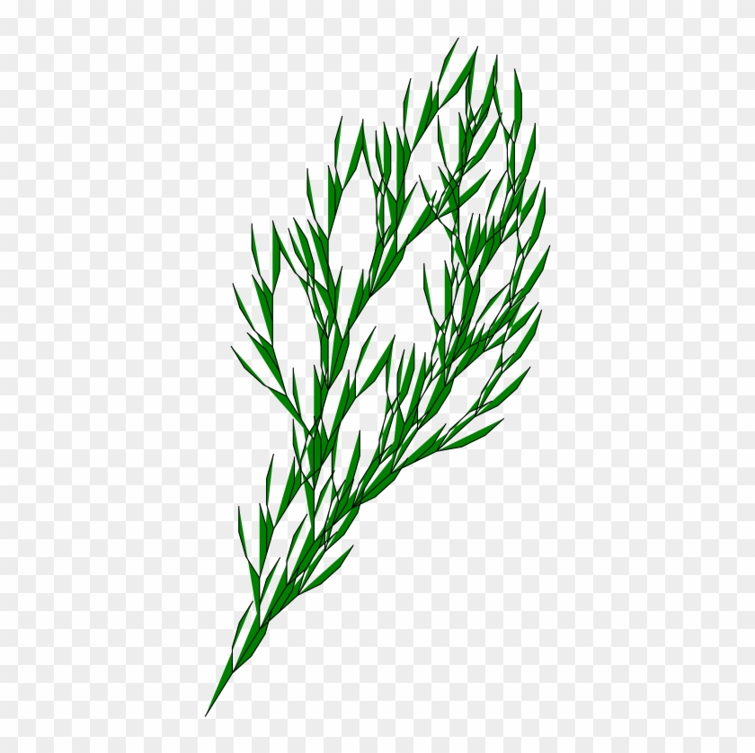 Bush L-system Clip Art Grass - L-system #537610