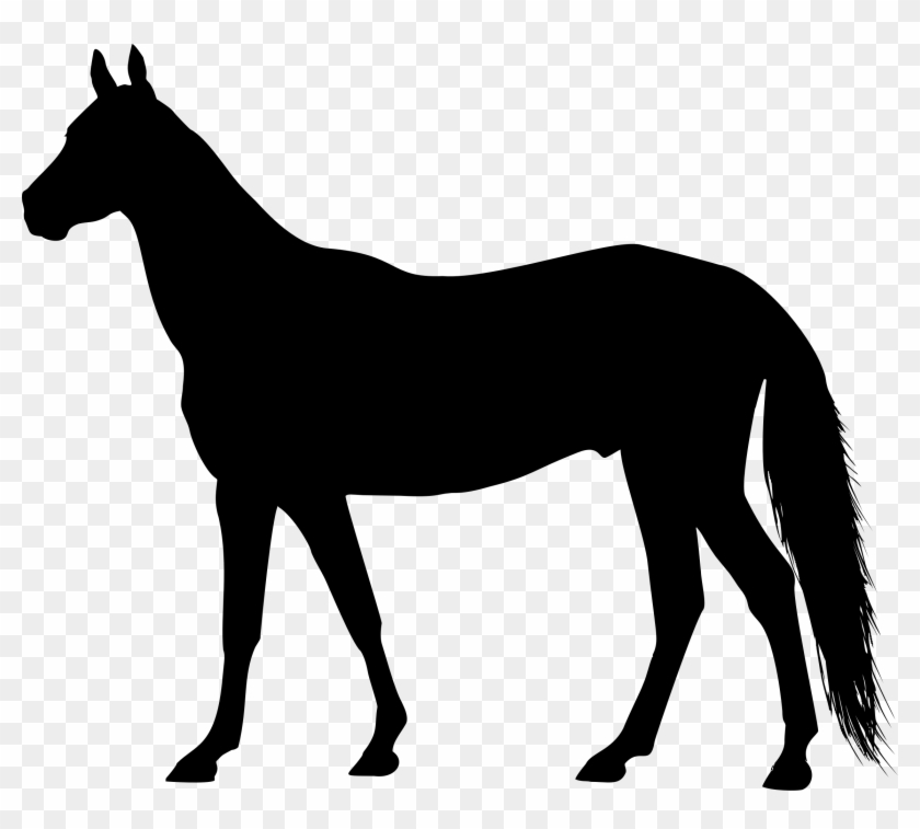 Left Facing Horse Silhouette Bclipart - Horse Silhouette #537912