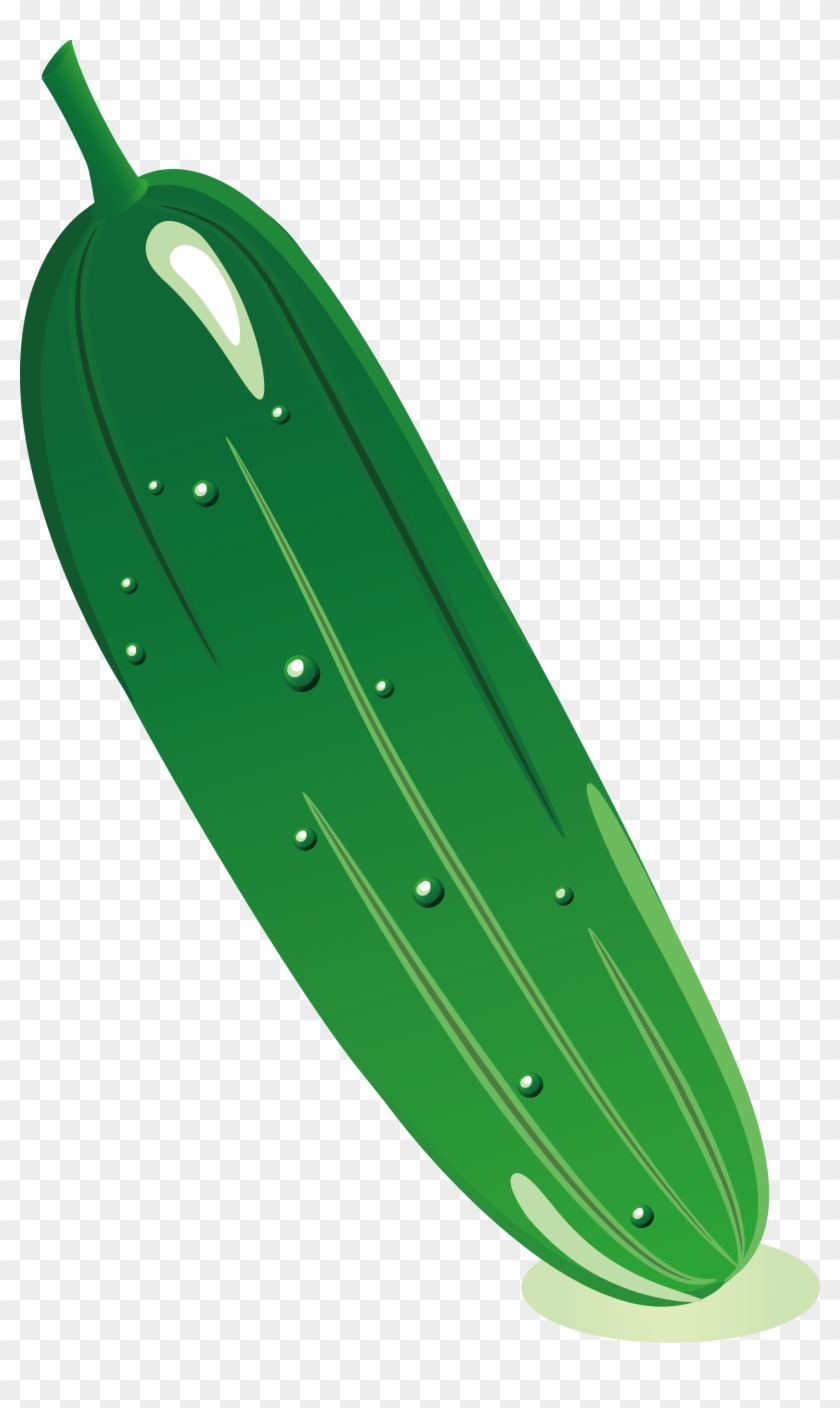 Cucumber Cartoon Clip Art - Cucumber Cartoon Png #537921