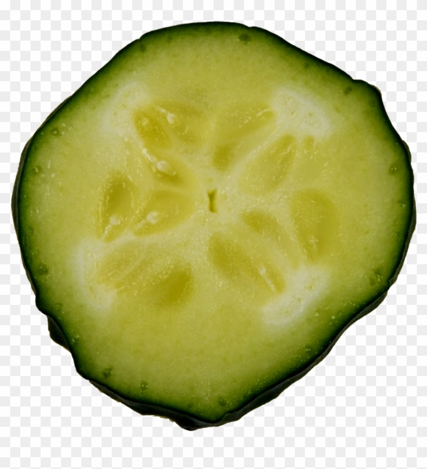 Cucumber Slice Png By Bunny With Camera - Portable Network Graphics #538005
