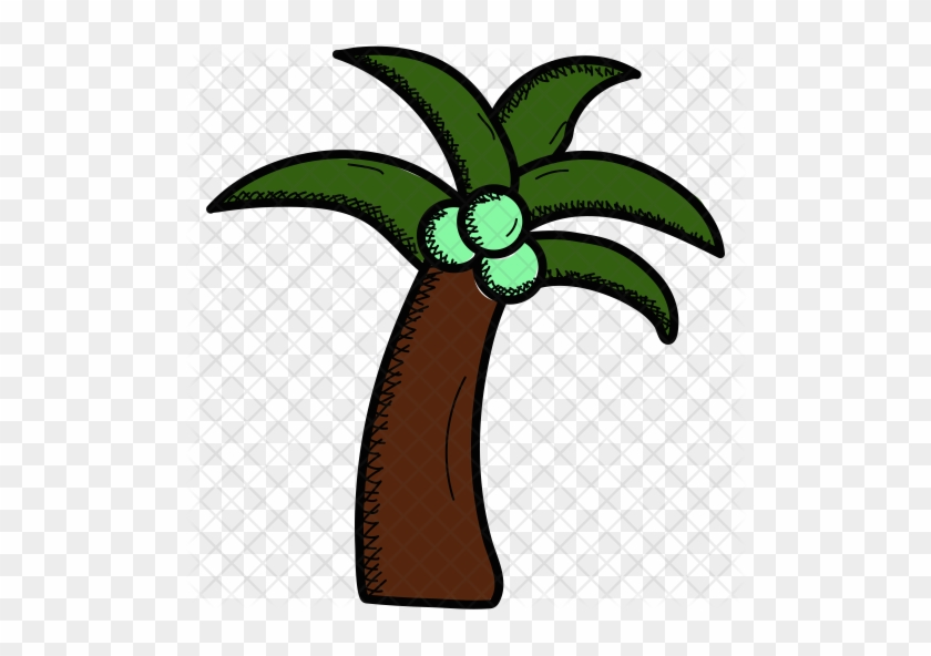Coconut Tree Icon - Coconut Tree Icon #538028