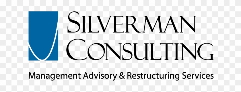 Strategic Planning - Silverman Consulting #538129